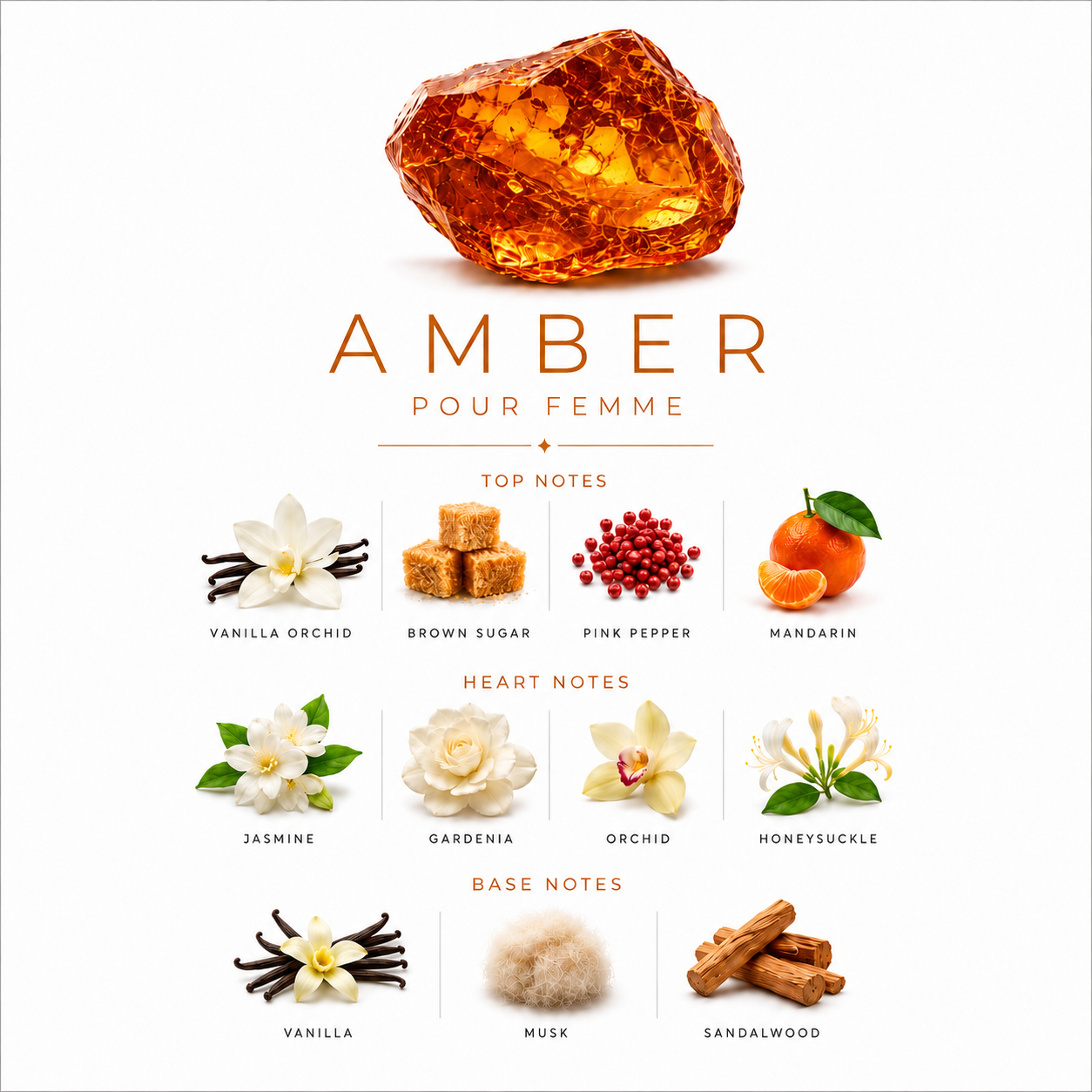 Amber scent notes card showing top, heart, and base notes